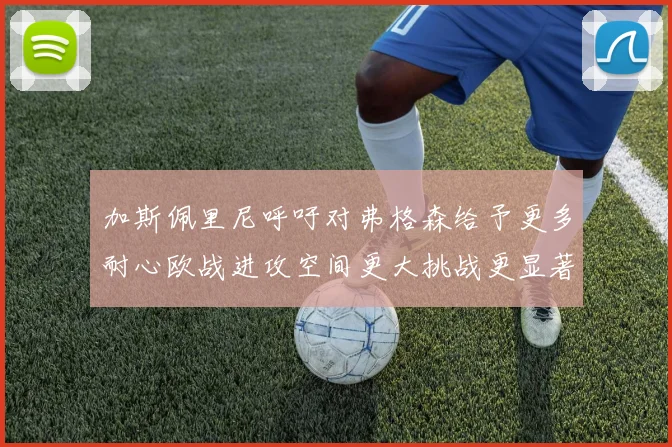 加斯佩里尼呼吁对弗格森给予更多耐心欧战进攻空间更大挑战更显著