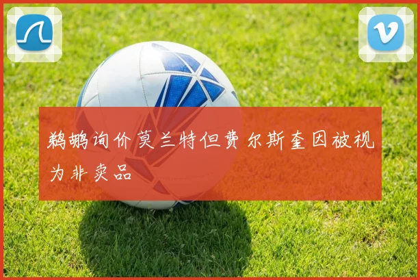 鹈鹕询价莫兰特但费尔斯奎因被视为非卖品